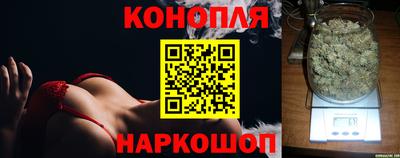 МДПВ Пугачёв