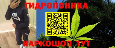 МДПВ Пугачёв
