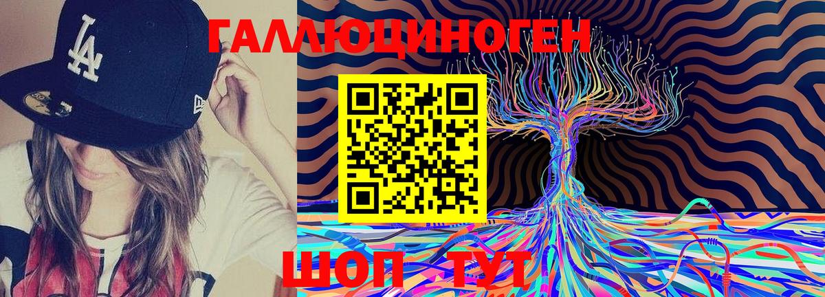 Галлюциногенные грибы Psilocybine cubensis  Вход с VPN  Отрадное  Галлюциногенные грибы GOLDEN TEACHER 
