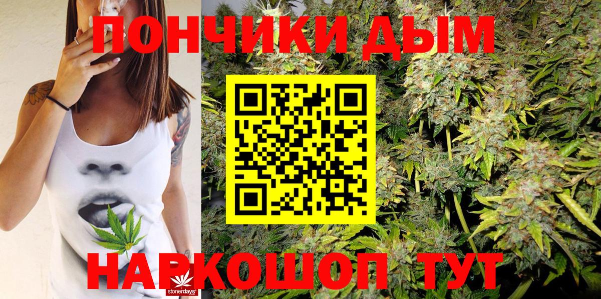 Конопля индика  Вход с VPN  Бошки марихуана семена  Отрадное  Канабис MAZAR 